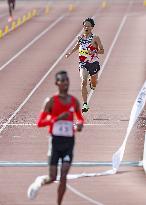 Athletics: Fukuoka International Marathon
