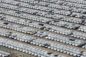 Automobiles Exported From China