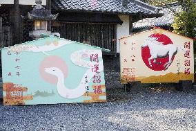 Preparations for 2026 Year of Horse