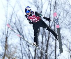 Ski jumping: World Cup in Wisla
