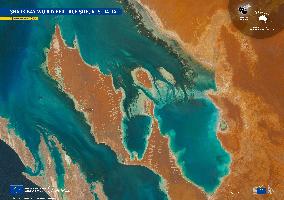 Satellite View of Shark Bay UNESCO World Heritage Site - Australia