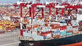 Port Cargo Throughput