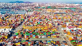 Port Cargo Throughput