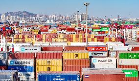 Port Cargo Throughput