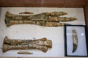 Return of prehistoric cultural property to the Mongolian authorities in Paris FA