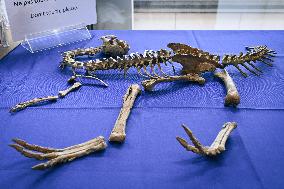 Return of prehistoric cultural property to the Mongolian authorities in Paris FA