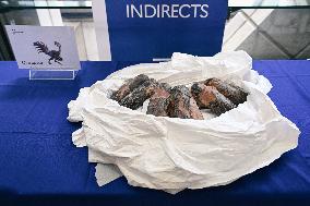 Return of prehistoric cultural property to the Mongolian authorities in Paris FA