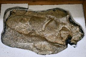 Return of prehistoric cultural property to the Mongolian authorities in Paris FA