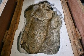 Return of prehistoric cultural property to the Mongolian authorities in Paris FA