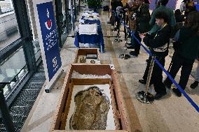 Return of prehistoric cultural property to the Mongolian authorities in Paris FA