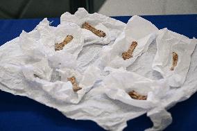 Return of prehistoric cultural property to the Mongolian authorities in Paris FA