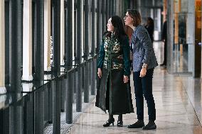 Return of prehistoric cultural property to the Mongolian authorities in Paris FA