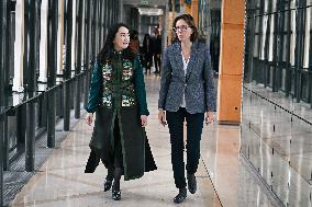 Return of prehistoric cultural property to the Mongolian authorities in Paris FA