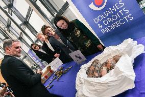 Return of prehistoric cultural property to the Mongolian authorities in Paris FA