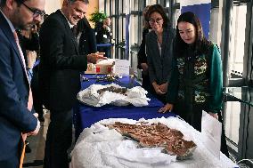 Return of prehistoric cultural property to the Mongolian authorities in Paris FA