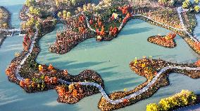 #CHINA-WINTER SCENERY (CN)