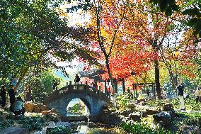 #CHINA-WINTER SCENERY (CN)