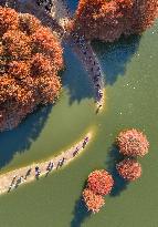 #CHINA-WINTER SCENERY (CN)