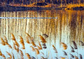 #CHINA-WINTER SCENERY (CN)