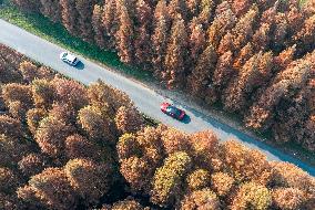 #CHINA-WINTER SCENERY (CN)