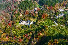 #CHINA-WINTER SCENERY (CN)