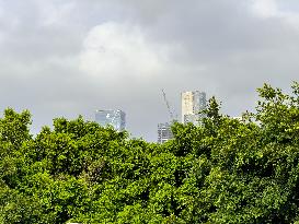 Landmark Building Complex in Shenzhen