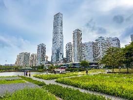 Landmark Building Complex in Shenzhen