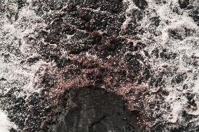 River Pollution - Dhaka