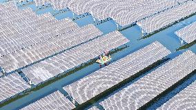 China Photovoltaic Industry