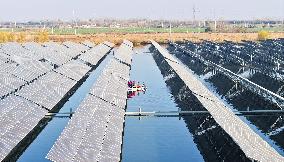 China Photovoltaic Industry