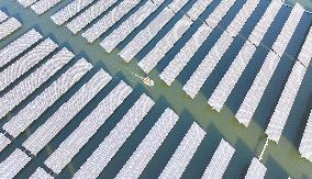 China Photovoltaic Industry