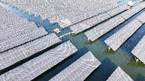 China Photovoltaic Industry