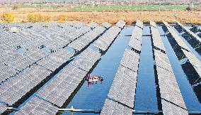 China Photovoltaic Industry