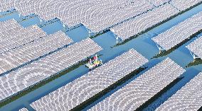 China Photovoltaic Industry