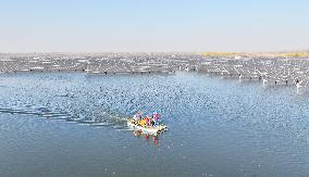 China Photovoltaic Industry