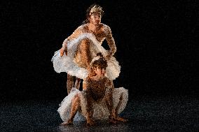 Swan Lake from Florence Caillon - France