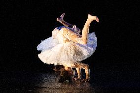 Swan Lake from Florence Caillon - France