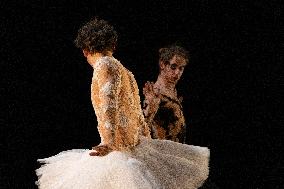 Swan Lake from Florence Caillon - France