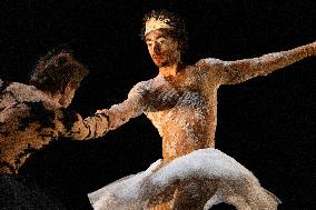 Swan Lake from Florence Caillon - France