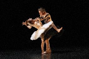 Swan Lake from Florence Caillon - France