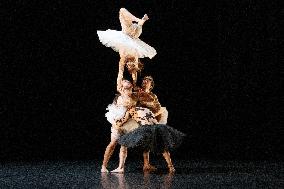 Swan Lake from Florence Caillon - France