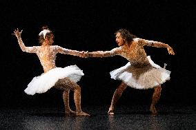 Swan Lake from Florence Caillon - France