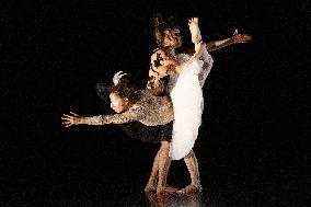 Swan Lake from Florence Caillon - France