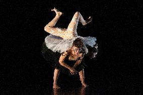 Swan Lake from Florence Caillon - France