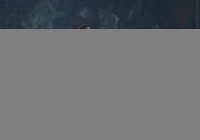 CALCIO - Serie A - Torino FC vs AC Milan