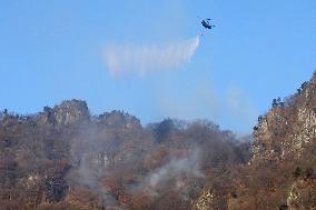 Forest fire on Mt. Myogi in eastern Japan