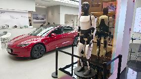 Tesla Humanoid Robot Optimus