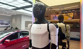 Tesla Humanoid Robot Optimus