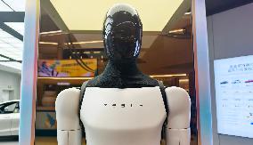 Tesla Humanoid Robot Optimus