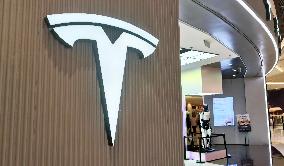 Tesla Humanoid Robot Optimus